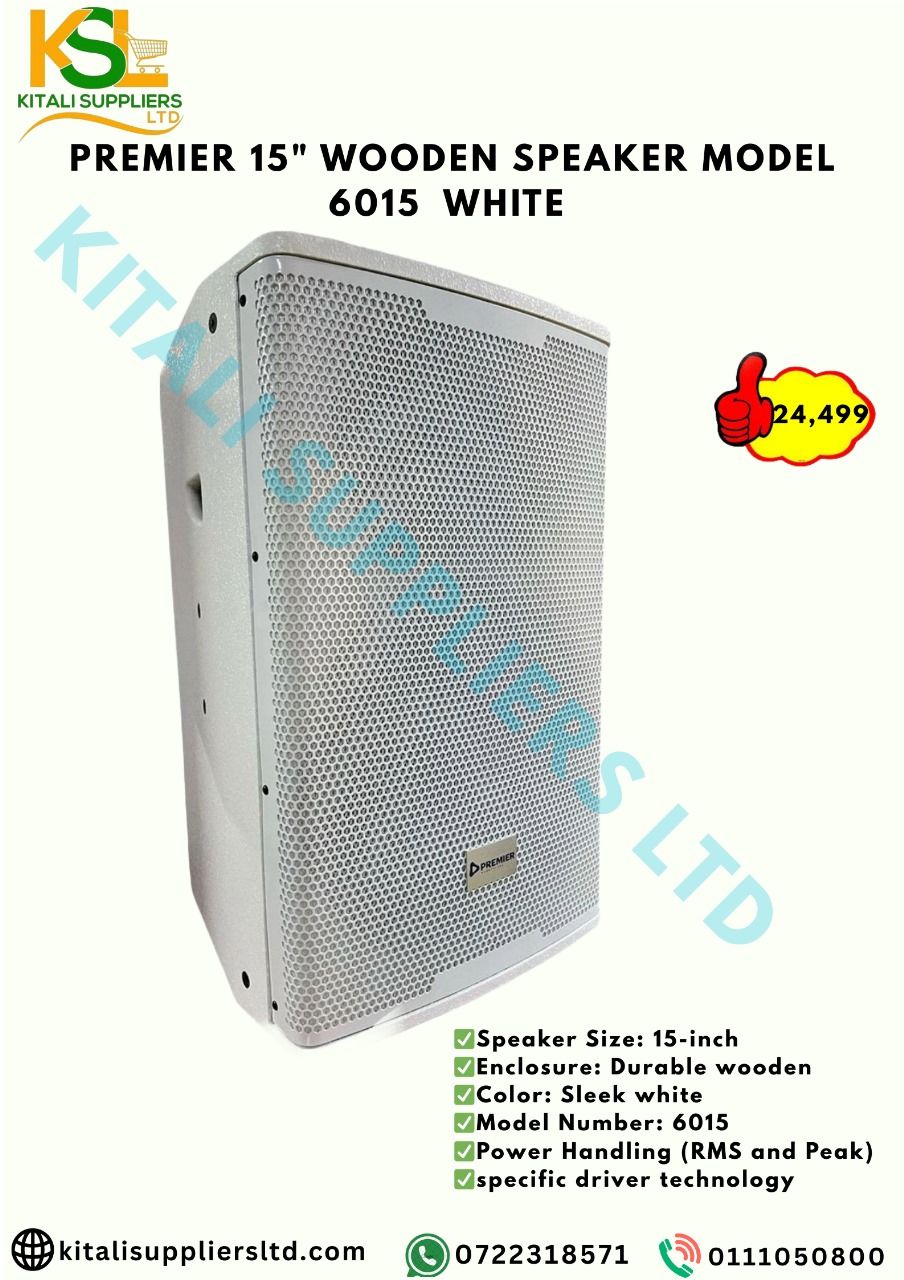 Premier 15” Wooden Speaker Model 6015 White – Powerful, Stylish Sound
