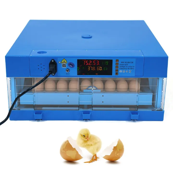 64-Egg Solar Digital Incubator – 120W Automatic Turning & Temperature Control, Solar Incubator, Solar Egg Hatcher, Automatic Poultry Incubator