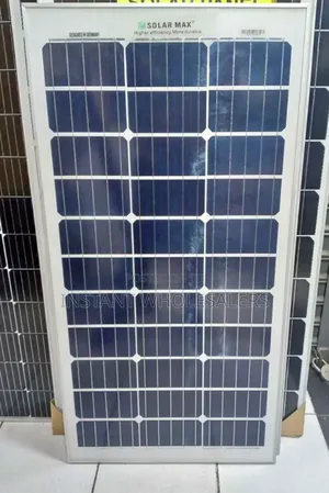 Solarmax 80W Solar Panel Midkit with Bulb – Monocrystalline All-Weather Solar Kit with 150VA Inverter + 2 Free LED Bulbs