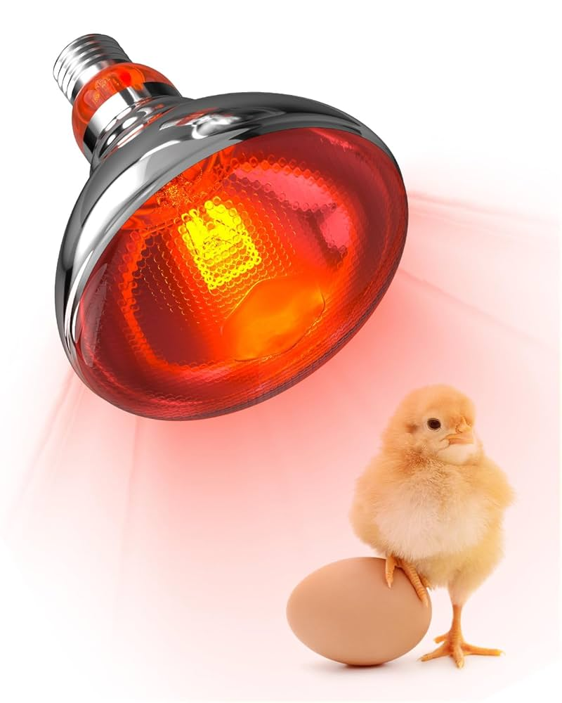 ER256 Automatic Digital Egg Incubator – 256 Eggs Capacity, 80W, AC/DC Powered with Roller Turning & a FREE Infrared Red Chicken Bulb
