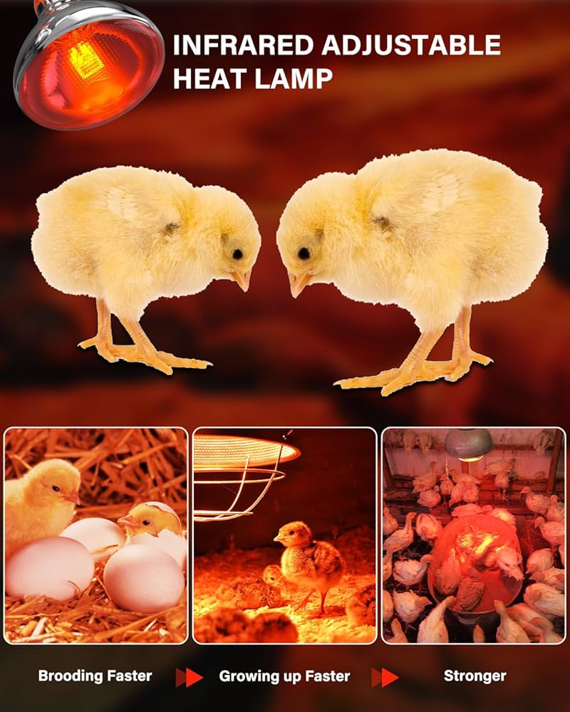 ER256 Automatic Digital Egg Incubator – 256 Eggs Capacity, 80W, AC/DC Powered with Roller Turning & a FREE Infrared Red Chicken Bulb