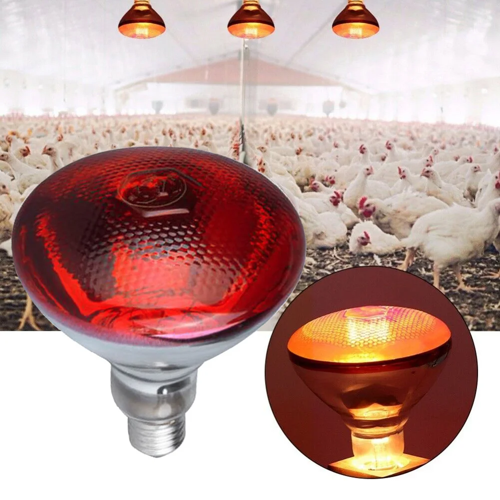 ER256 Automatic Digital Egg Incubator – 256 Eggs Capacity, 80W, AC/DC Powered with Roller Turning & a FREE Infrared Red Chicken Bulb