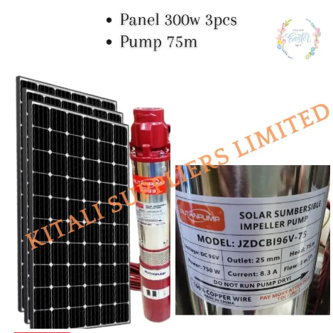 750W Solar Water Pump + 3 × 300W Monocrystalline All-Weather Solar Panels – High-Performance Irrigation & Borehole Pumping System