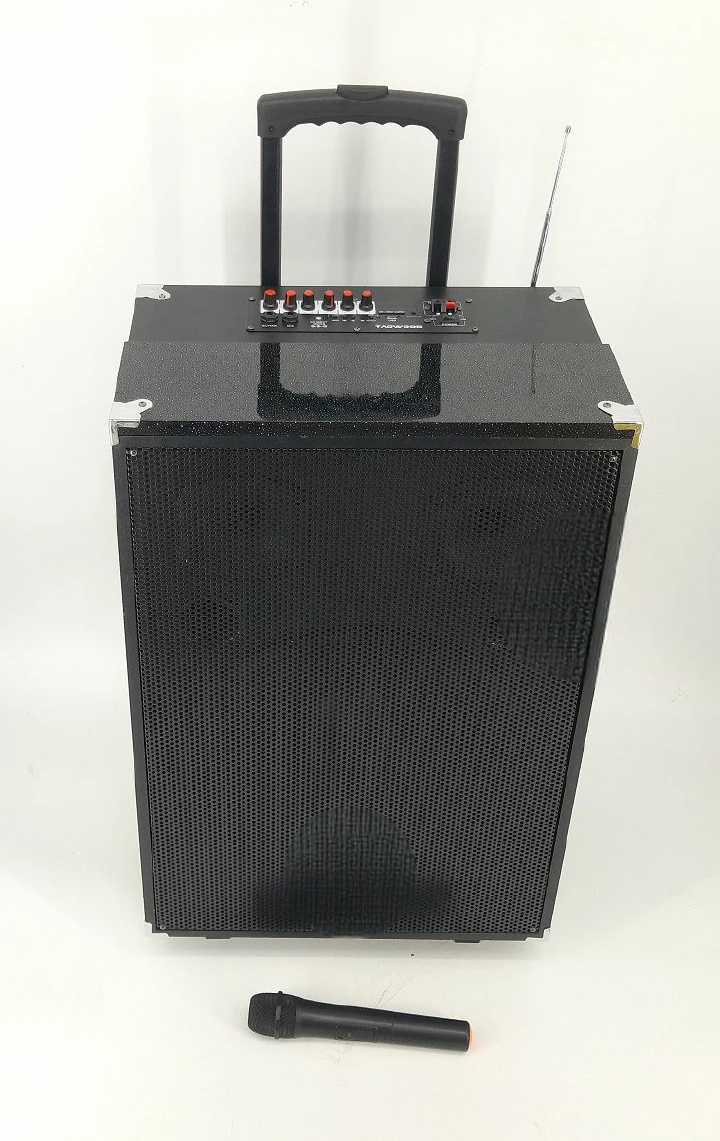 Ailyons Portable Party Speaker – 15", 12", & 10" Wireless Bluetooth Speakers for Home & Events. deliver powerful sound, deep bass, and versatile connectivity for parties, outdoor gatherings, or home.