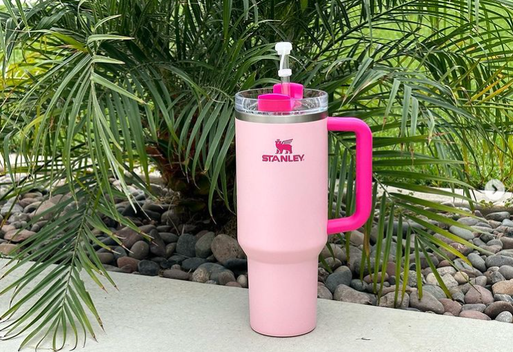 Best price for Flamingo Pink Stanley Cup | Stanley Mug | Stanley Cup ...