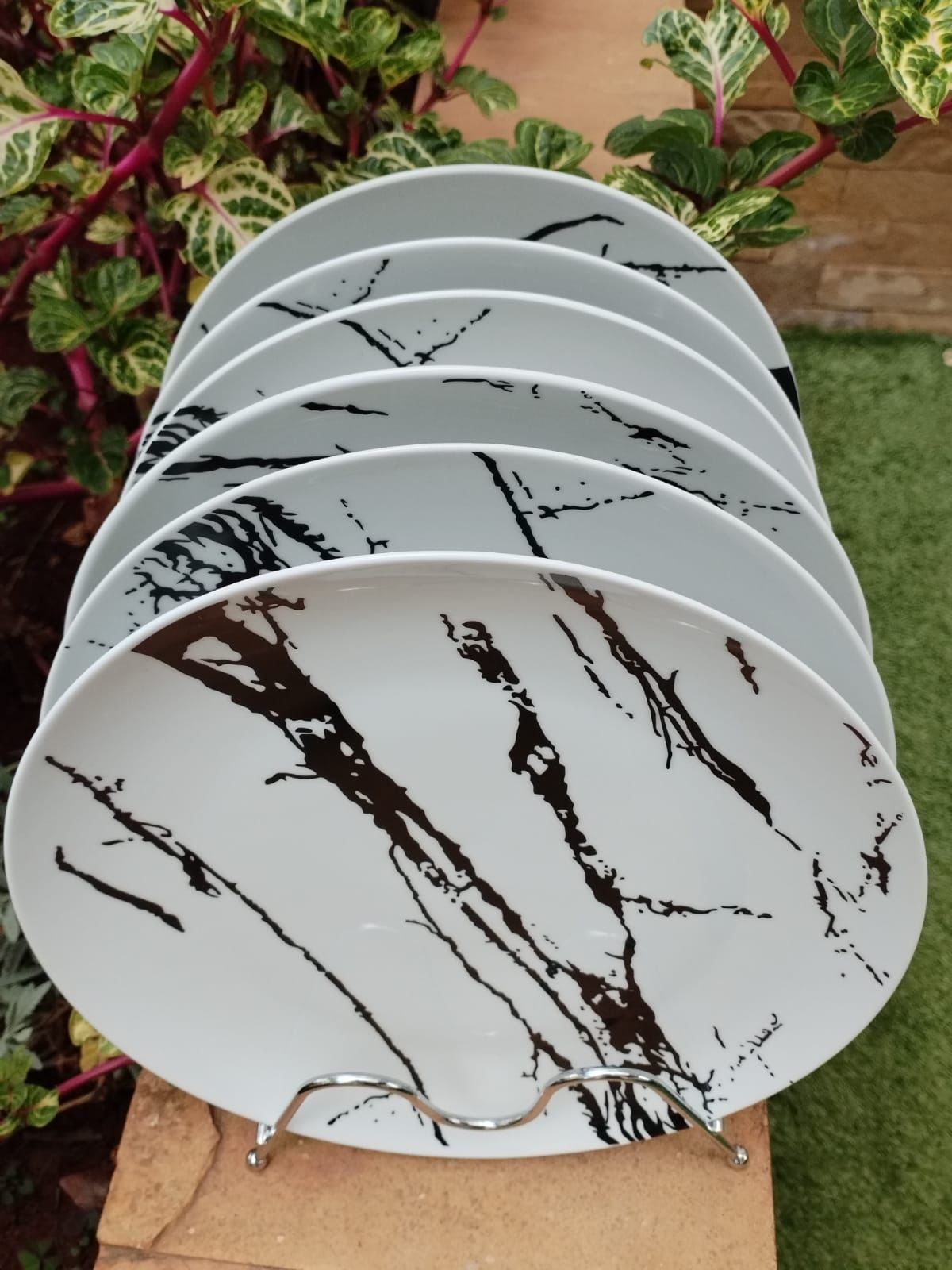 Beautiful 6pcs Dinnerware plates