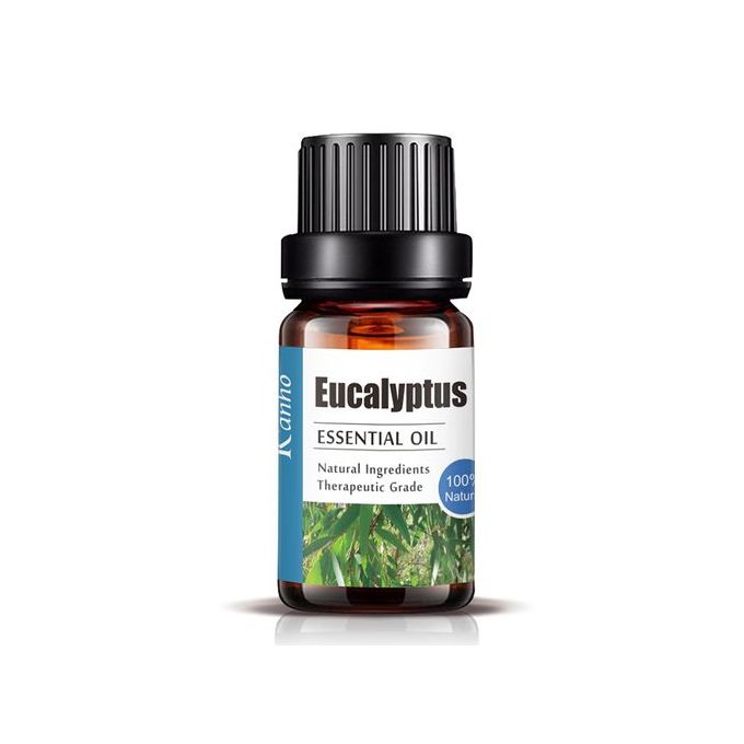 Essential Oils for Aroma Diffuser Air Humidifier Lavender Peppermint Eucalyptus Rosemary Essential Oils Home Water-soluble 10ml Air Freshener Scents Fragrance Oil Perfume -