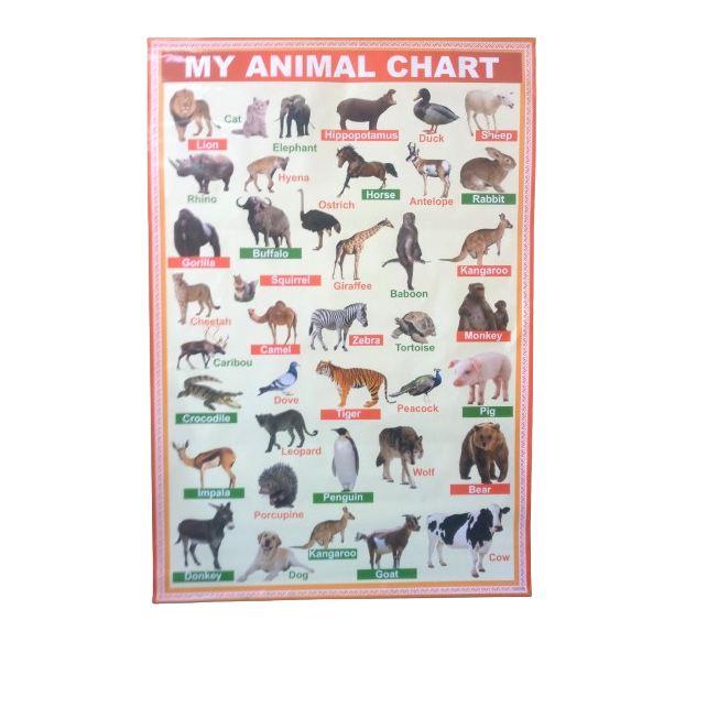 Animal Learning Wall Chart