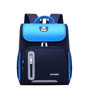 Blue Waterproff School Bag