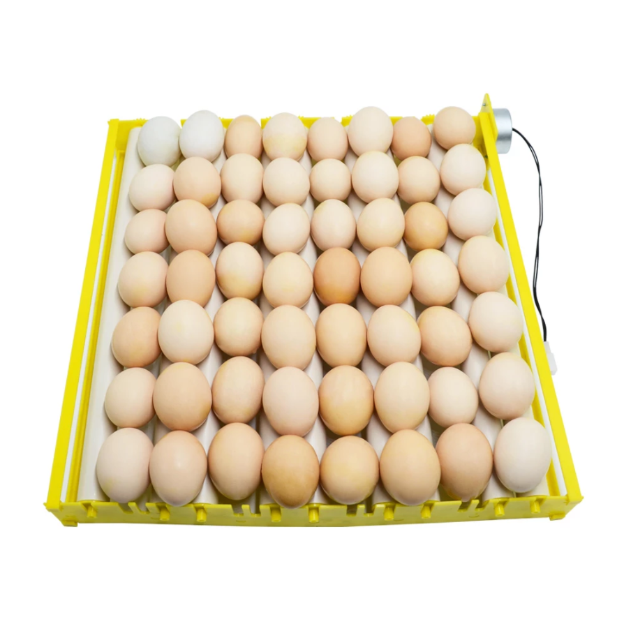 Automatic Rotary Egg Turner Roller Tray Egg Hatching Incubator Farm Incubation Tool Duck Quail Bird Poultry Accessory