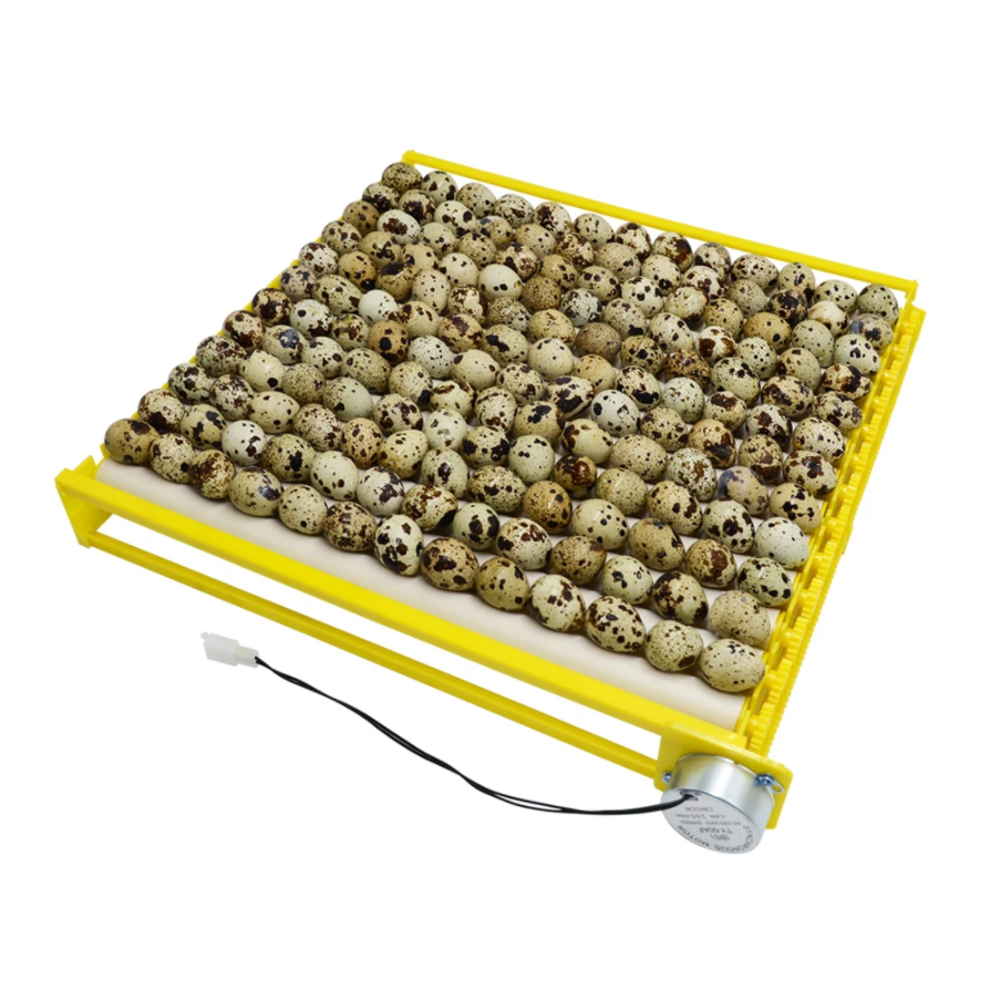 Automatic Rotary Egg Turner Roller Tray Egg Hatching Incubator Farm Incubation Tool Duck Quail Bird Poultry Accessory