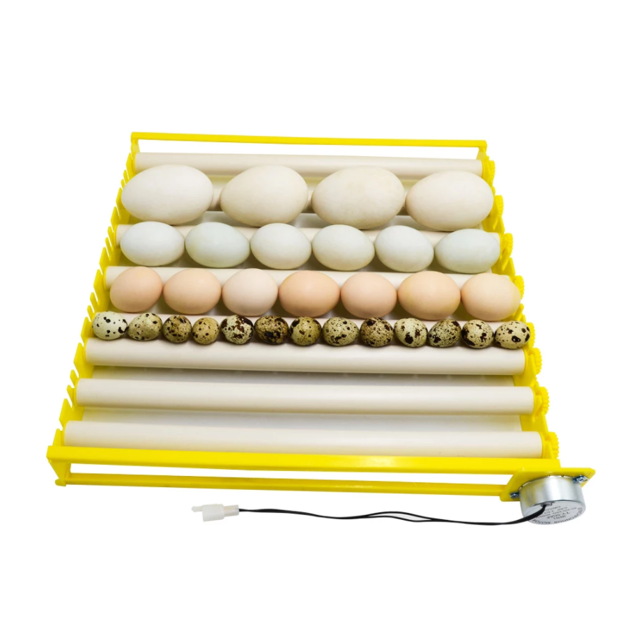 Automatic Rotary Egg Turner Roller Tray Egg Hatching Incubator Farm Incubation Tool Duck Quail Bird Poultry Accessory