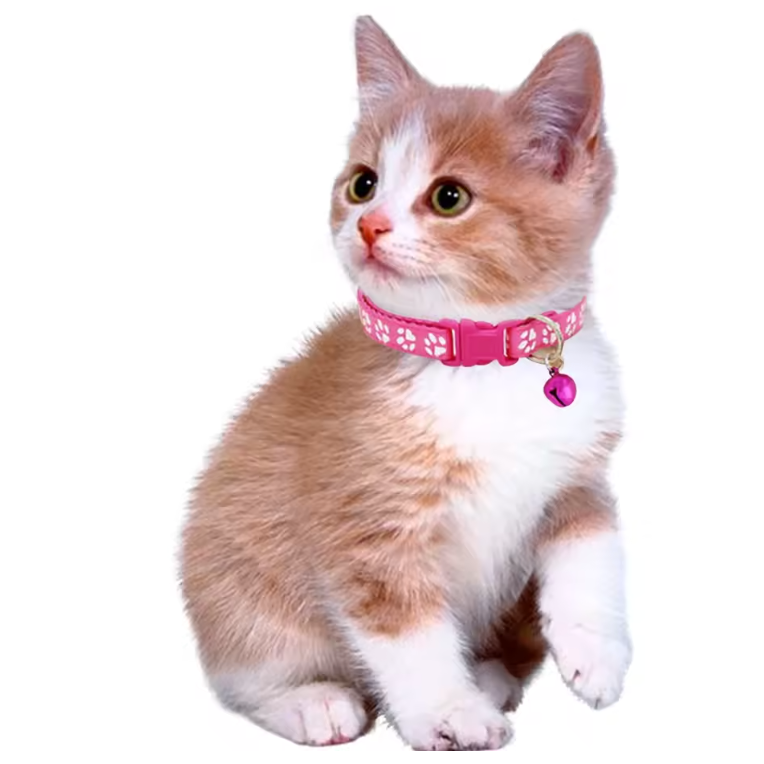 5pcs Collars for Cat Collar With Bell Adjustable Necklace Cat Puppy Kitten Collar Dropshipping Pet Cats Collar