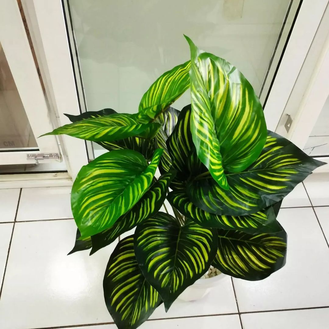 Artificial stripped  Flower with Decor stones and Vase - add a luxurious touch to your interior setting and the same time,