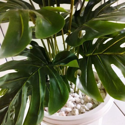 Artificial Monstera Flower , Decor Stones Plus A Vase | add a luxurious touch to your interior setting and the same time,
