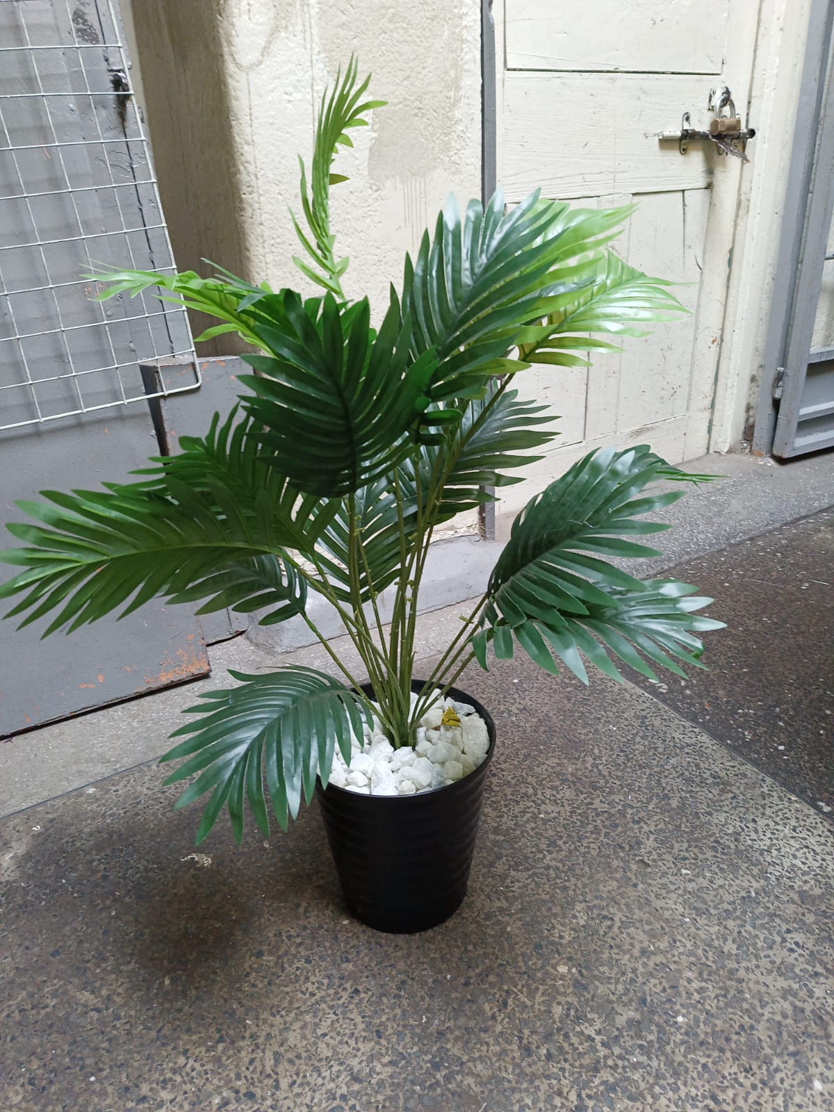Artificial Palm flower, decor stones with Spiral Black Bucket Vase