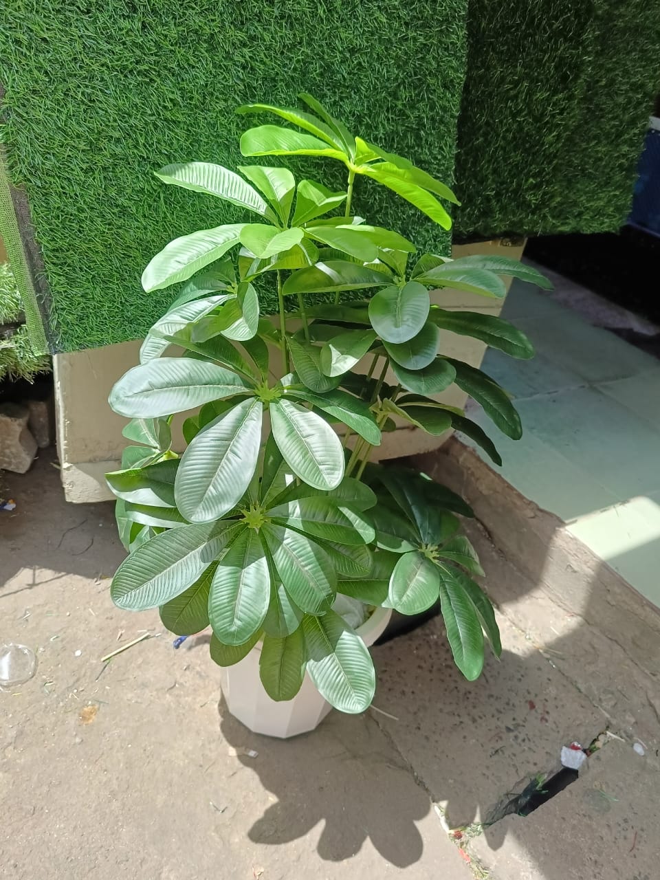 Artificial Mango Flower, with Bucket vase, and decor stones - Mango