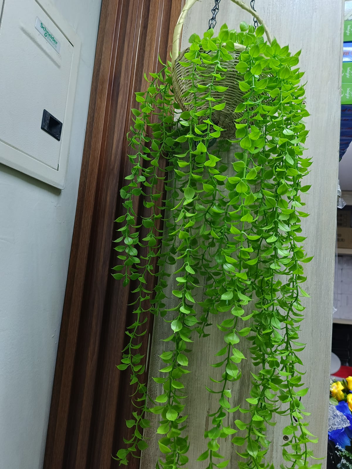 Decor Balcony hanging flower all green with woven Pot
