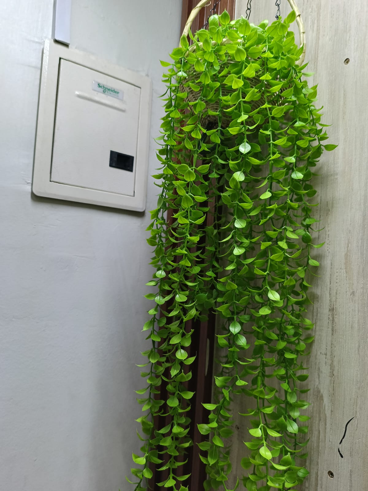 Decor Balcony hanging flower all green with woven Pot