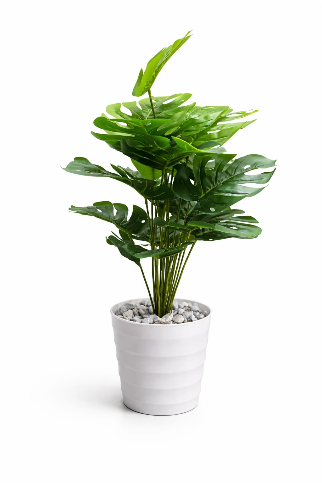 Artificial Monstera Flower , Decor Stones Plus A spiral Vase- wht-  Makes your house look fantastic and beautiful