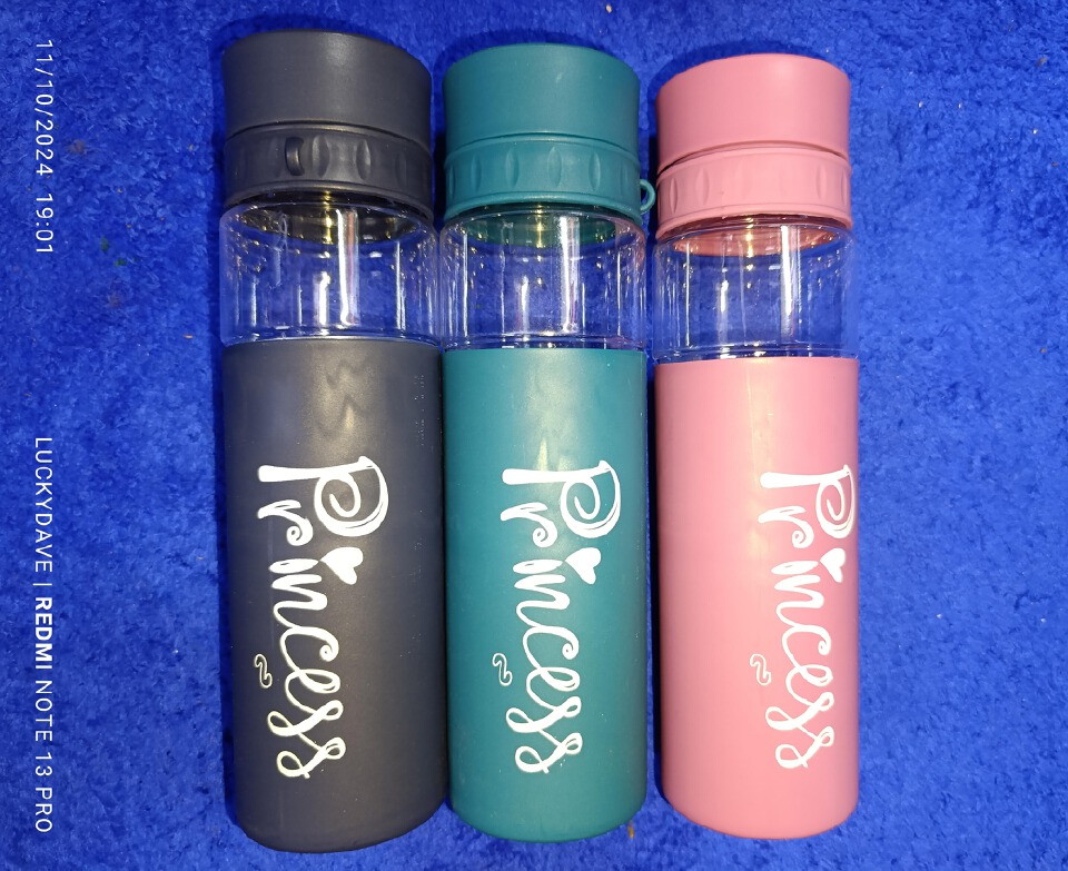 CLEARANCE OFFER Princess water bottle