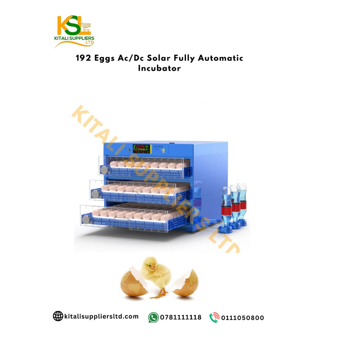 192 Eggs AC/DC Solar Fully Automatic Incubator