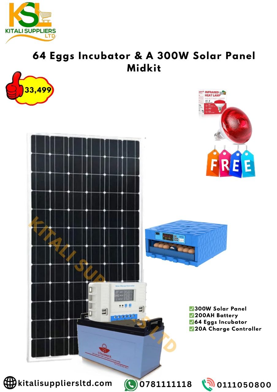 64Eggs Incubator With 300W Solar Panel, 200Ah Battery, 20A Controller