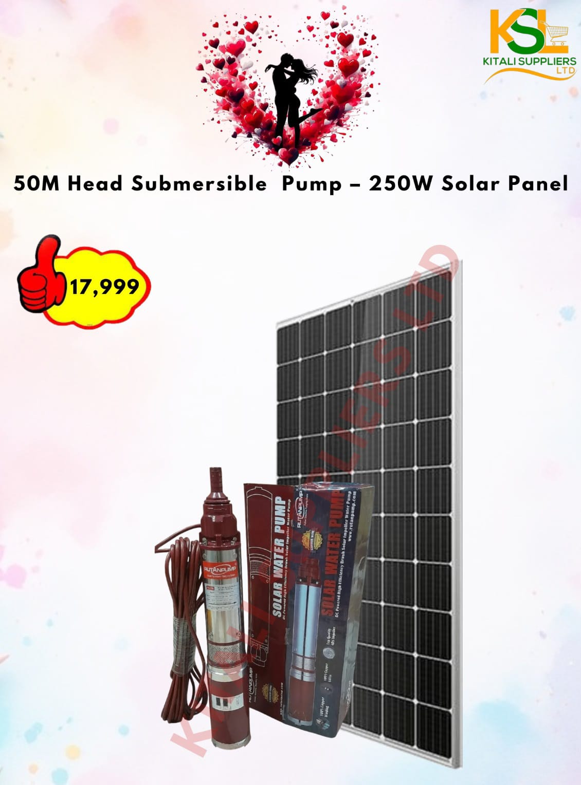🌞 50m Head Submersible Pump + 250W Solar Panel | High-Efficiency Water Pump Kit 💧
