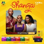 Gotv Decoder + Grid Antenna