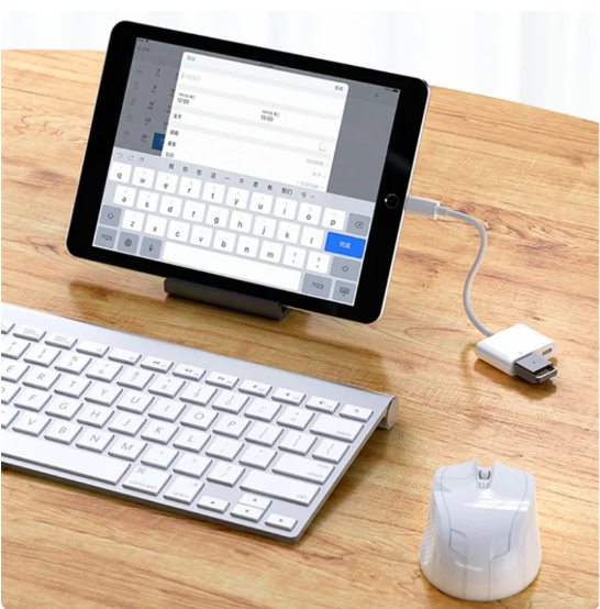 1PC Lightning To OTG Converter Adapter for IPhone Mouse Keyboard Charging U Disk Camera CardReader Data Converter Iphone Otg