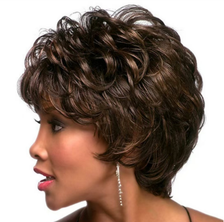 1PC Wig Female Hair Fiber Fleeciness Dyed Short Curly Hair Liu Haike Cos False Hair