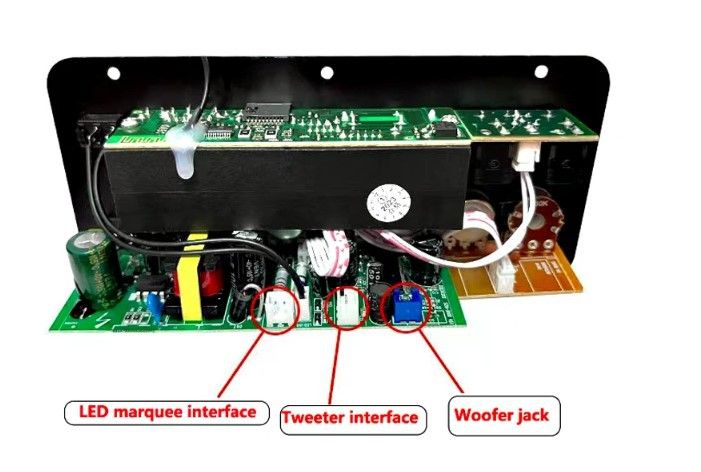 D10 Digital Bluetooth Amplifier Board Subwoofer Dual Microphone AMP for 8-12 inch 4ohm Speaker 12V/24V 110-220V
