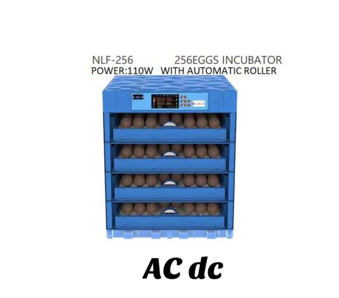 High quality 256 eggs INCUBATOR With automatic roller and power of 110watts