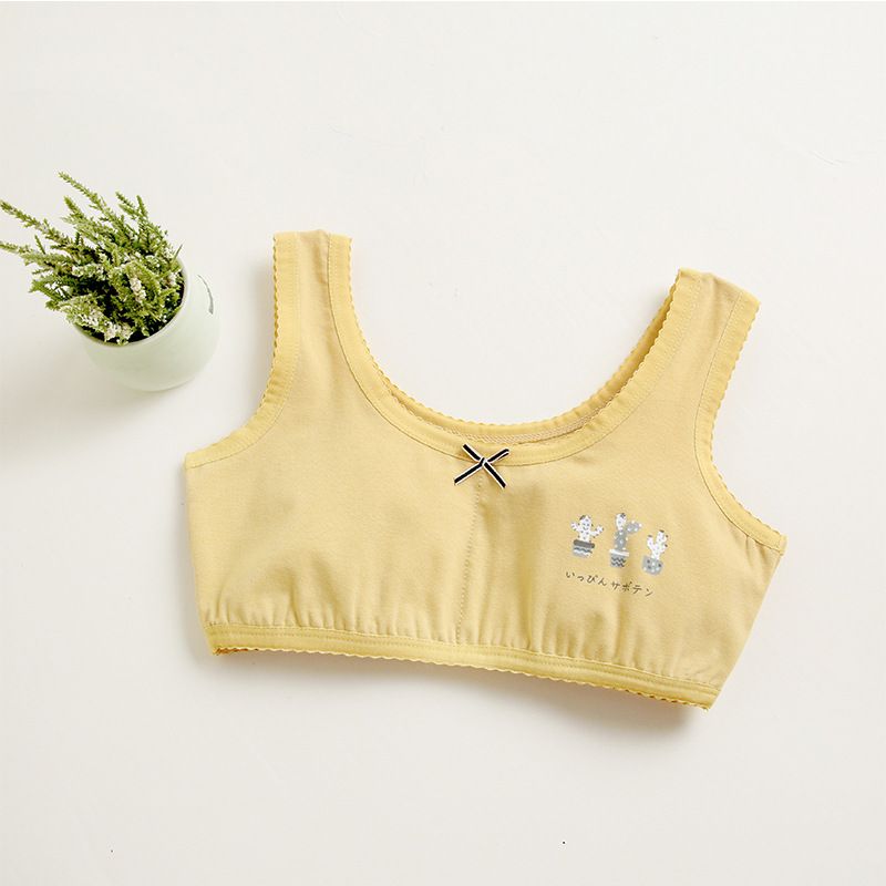 2pcs Girls underwear children's bra developmental undershirt students new cotton a class summer female treasure cotton