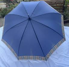 double person men business umbrella