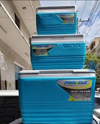 🔥🔥🔥 RESTOCKED 
TPX6006 Pinnacle cooler box 4.5L  per piece now available in blue and (green colour)