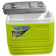 🔥🔥🔥 RESTOCKED 
TPX6006 Pinnacle cooler box 4.5L  per piece now available in blue and (green colour)