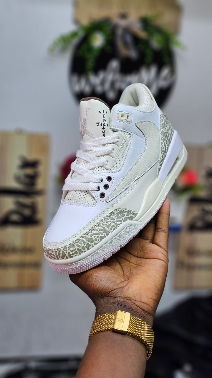 New J3 cactus Jordan 3 cactus mens fashion shoes sneakers