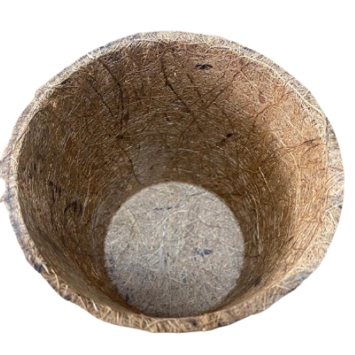 Vuna Coconut Coir Seed Starter Pot, size 25G is Conical measuring  3"X4"X4" which is 750ml. It is ideal for raising tree seedlings and on ornamental plants. Can easily be decorated for ornamental use.
