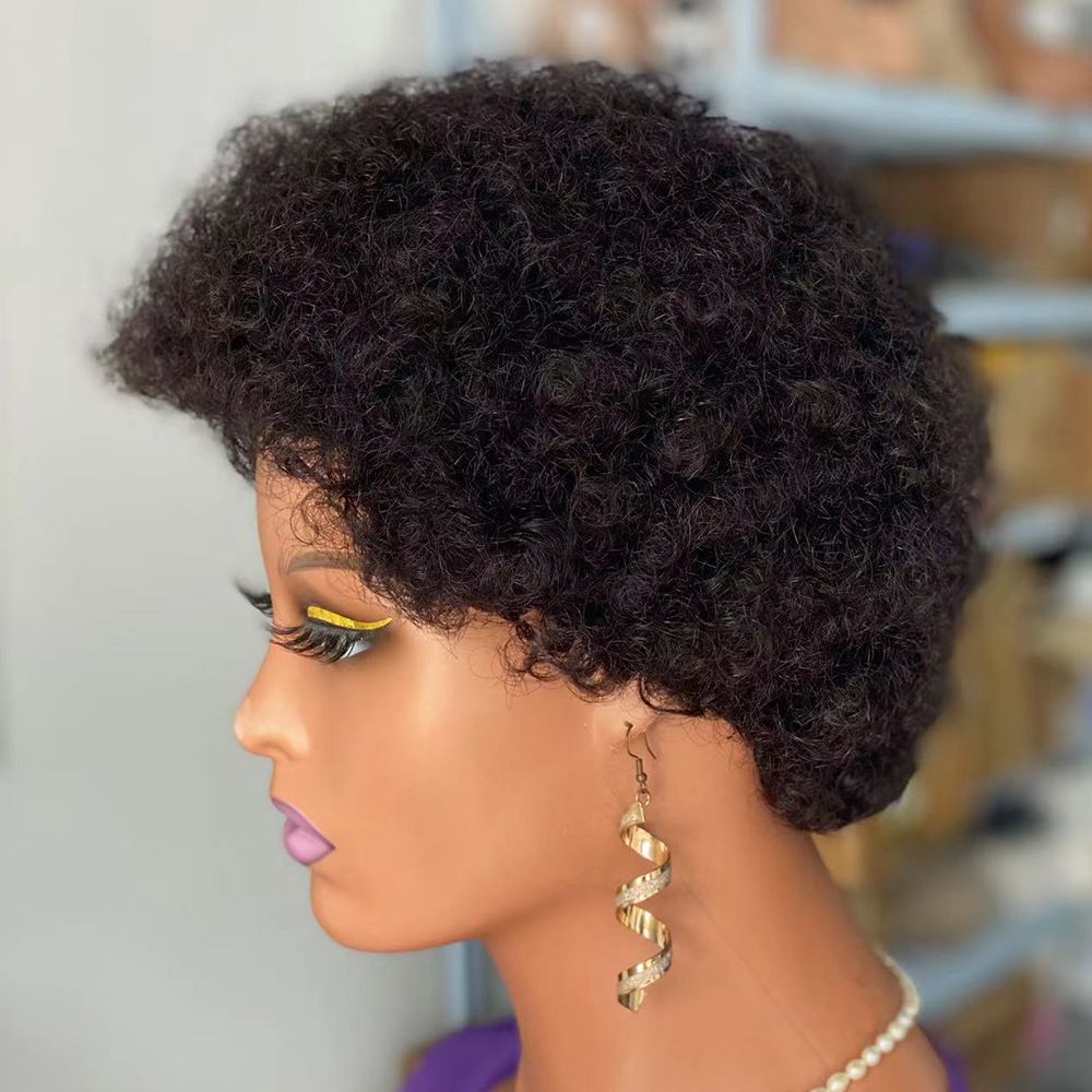 Afro Curly Wigs 100% Human Hair Short Wigs