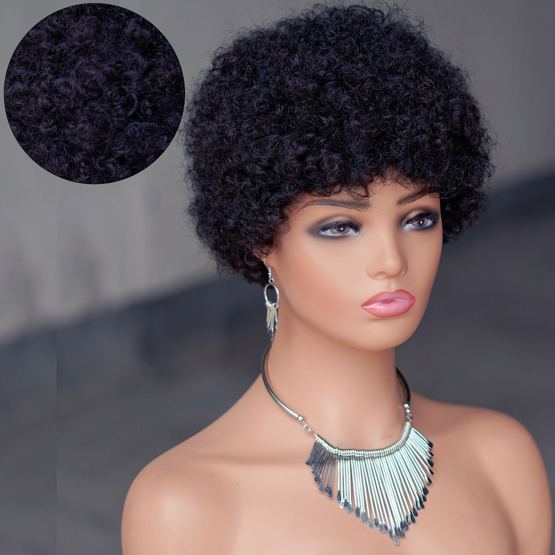 Afro Curly Wigs 100% Human Hair Short Wigs