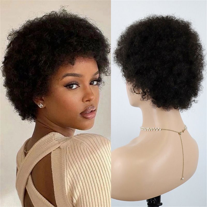 Afro Curly Wigs 100% Human Hair Short Wigs