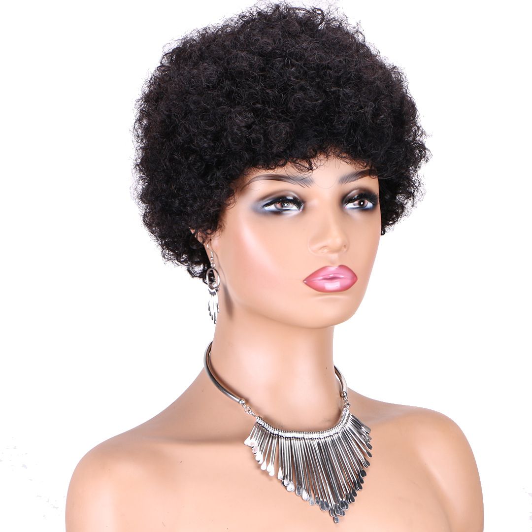 Afro Curly Wigs 100% Human Hair Short Wigs