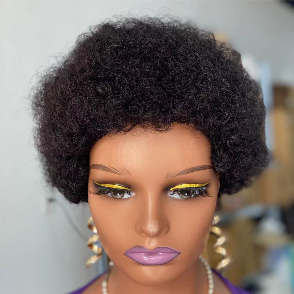 Afro Curly Wigs 100% Human Hair Short Wigs