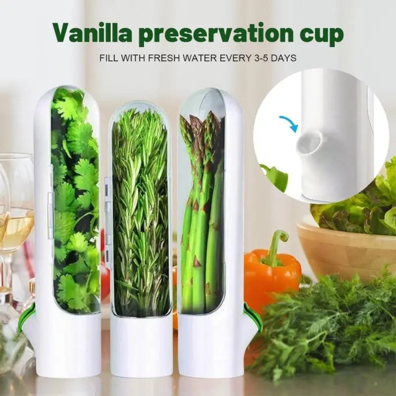 Fresh herbs fridge storage container