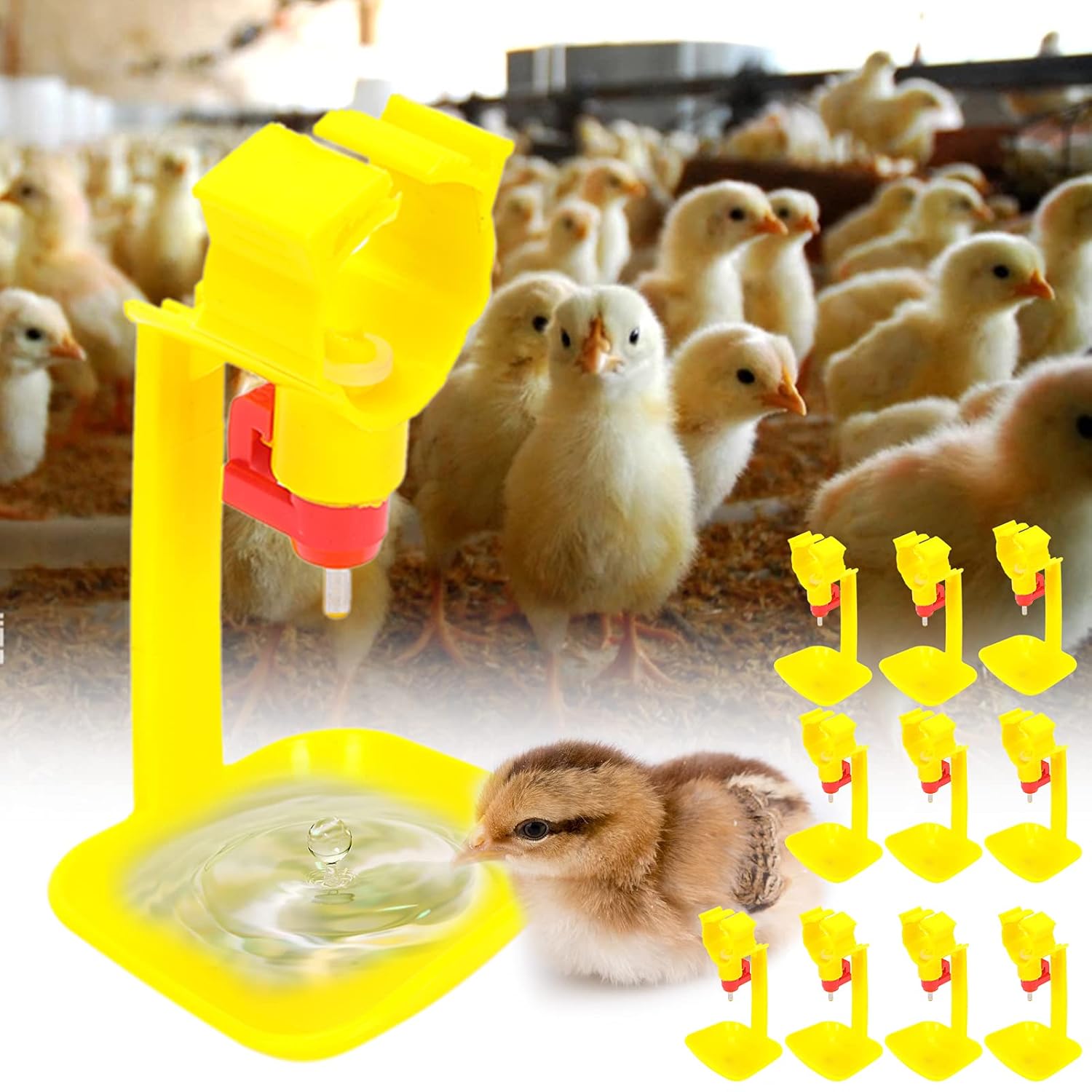 Automatic Chicken Nipple Drinkers
