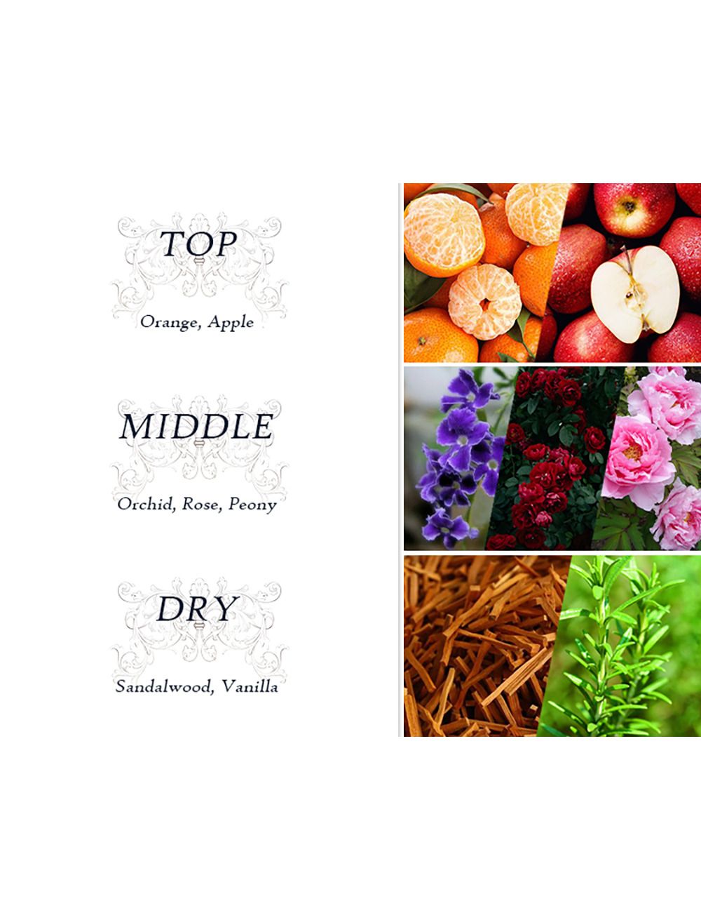 2 Packs Body Luxuries Nobleman For Men Fragrance Body Mist 250ml Unisex Romantic Perfume - Long-Lasting, Non-Irritating, Multi-Purpose Spray Unisex Body Mist Signature Collections