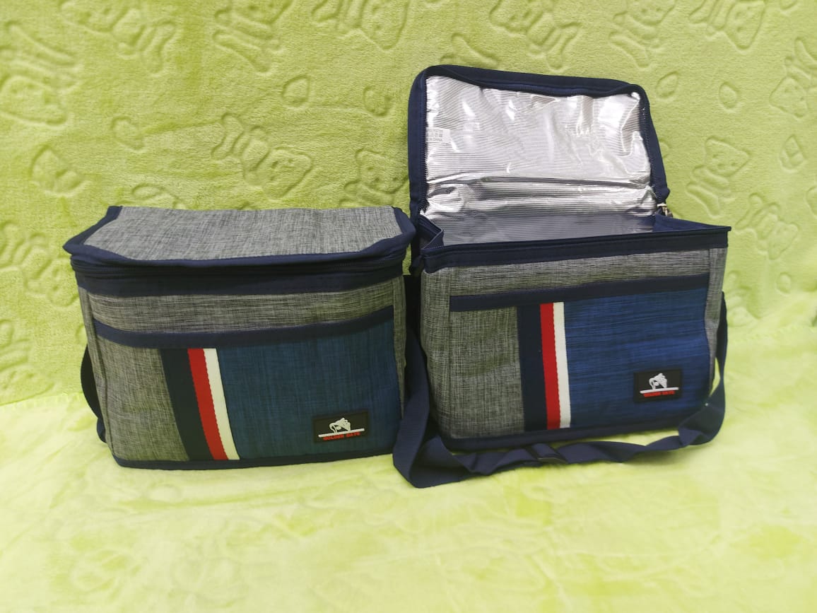 Insulated Lunch/ Milk bag +2pc Ice Bottle+ 6pc 180ml Milk Storage Containers for carrying milk after expressing/ pumping to keep it safe for long when traveling