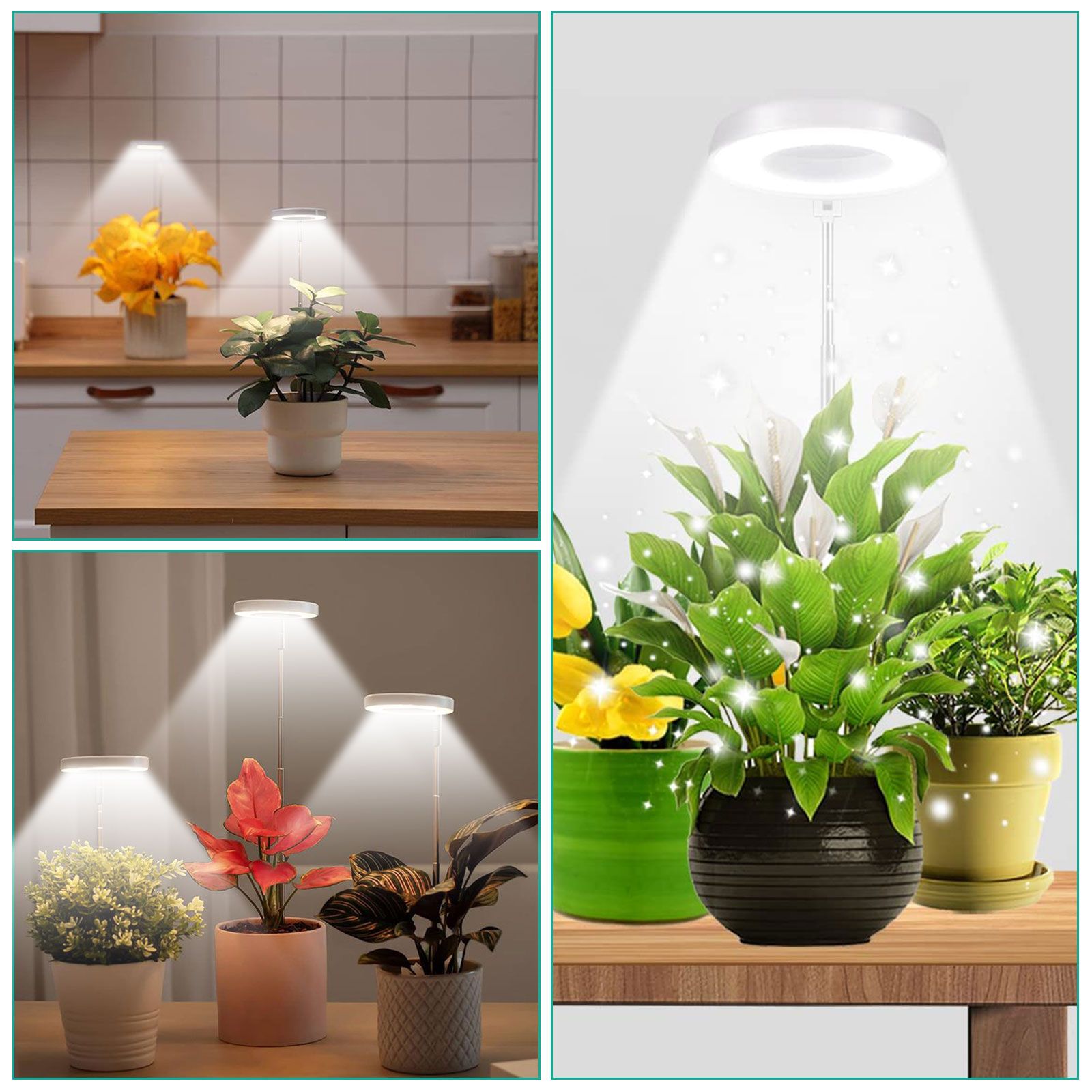 Grow Lights for Indoor Plants, LED Full Spectrum Plant Light, Height Adjustable Grow Light with 4 Dimmable Brightness, 4/8/12H On/Off Timer, Splashproof Halo Plant Lamp for Small Plants