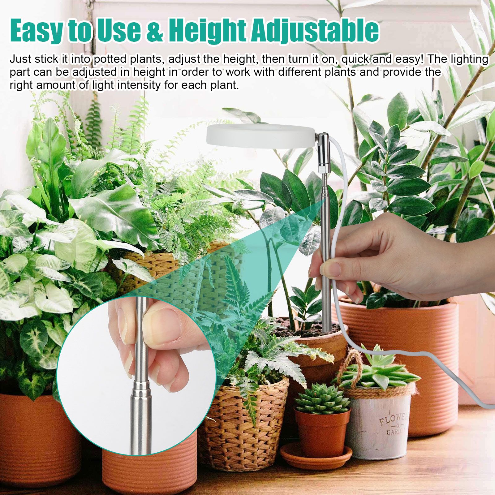 Grow Lights for Indoor Plants, LED Full Spectrum Plant Light, Height Adjustable Grow Light with 4 Dimmable Brightness, 4/8/12H On/Off Timer, Splashproof Halo Plant Lamp for Small Plants